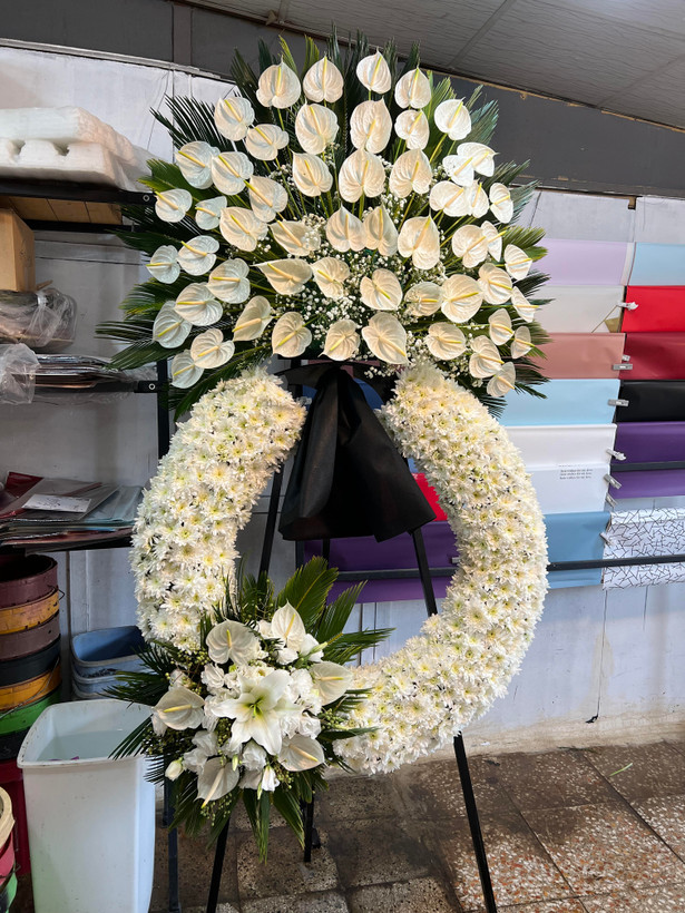 تاج گل آنتریوم