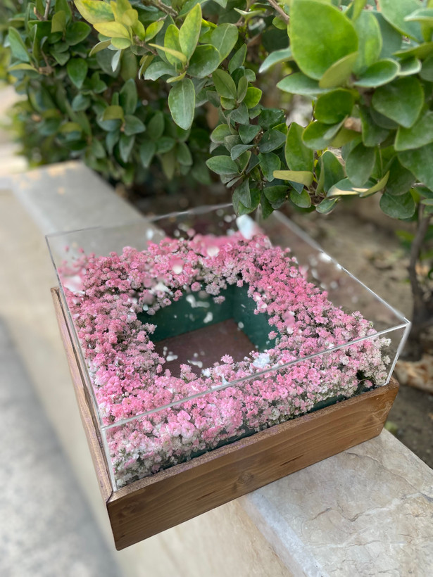 باکس گل و کیک