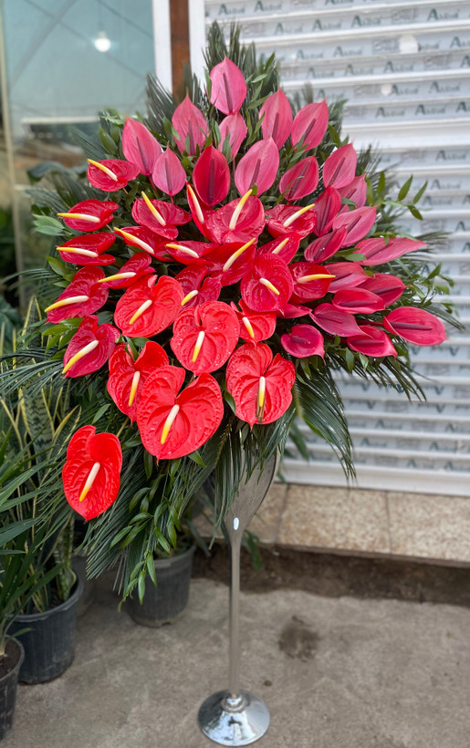 جام گل برای غرفه نمایشگاه