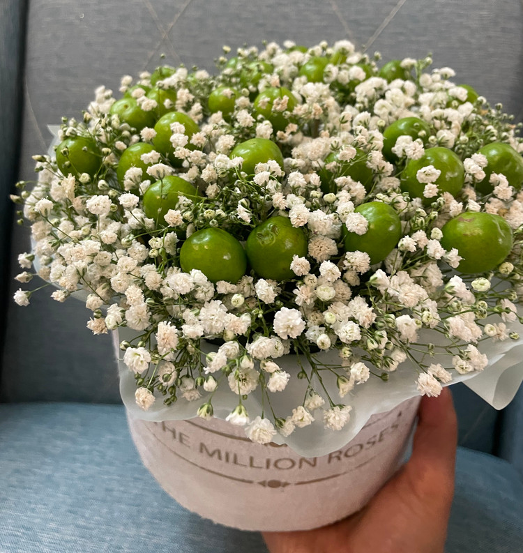 باکس گل گوجه سبز و ژیپسوفیلیا