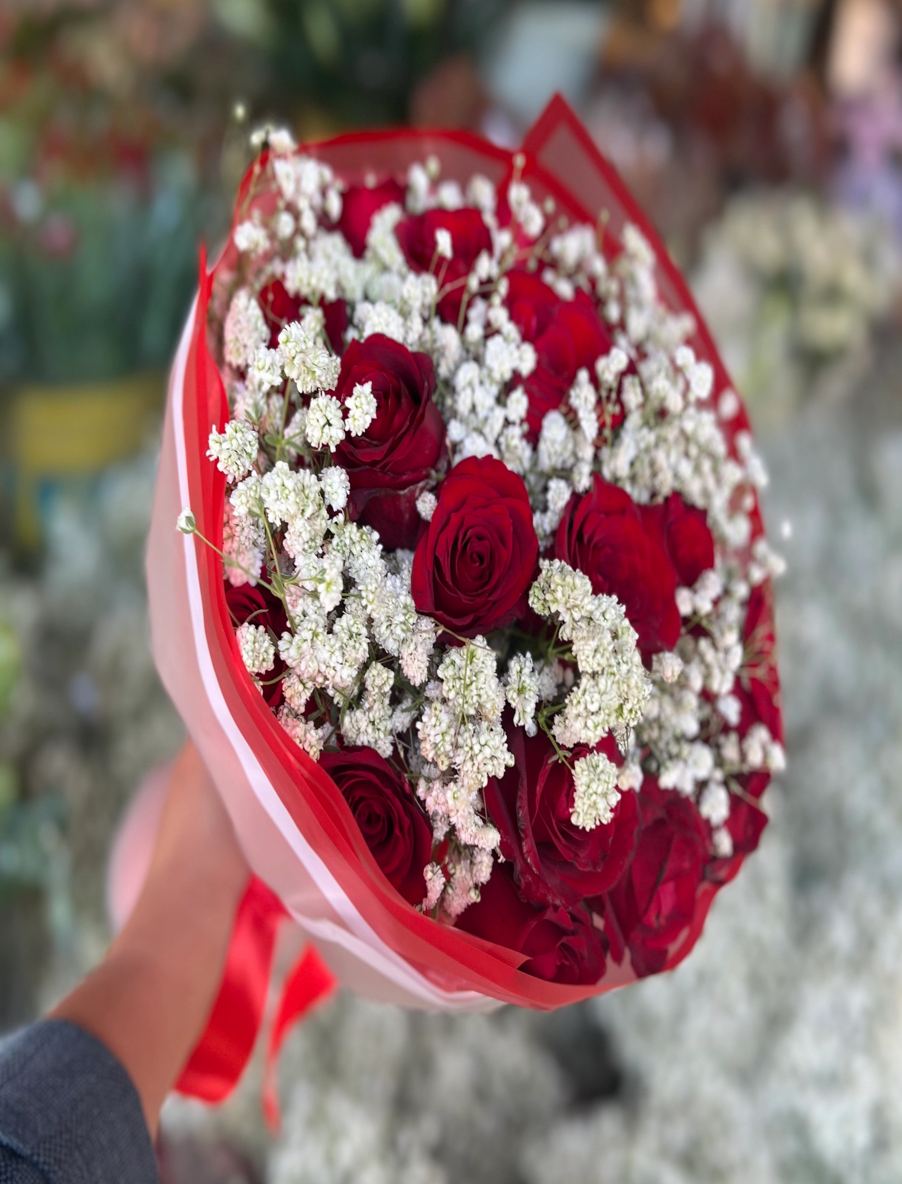 دسته گل 20 شاخه رز هلندی قرمز و ژیپسوفیلیا