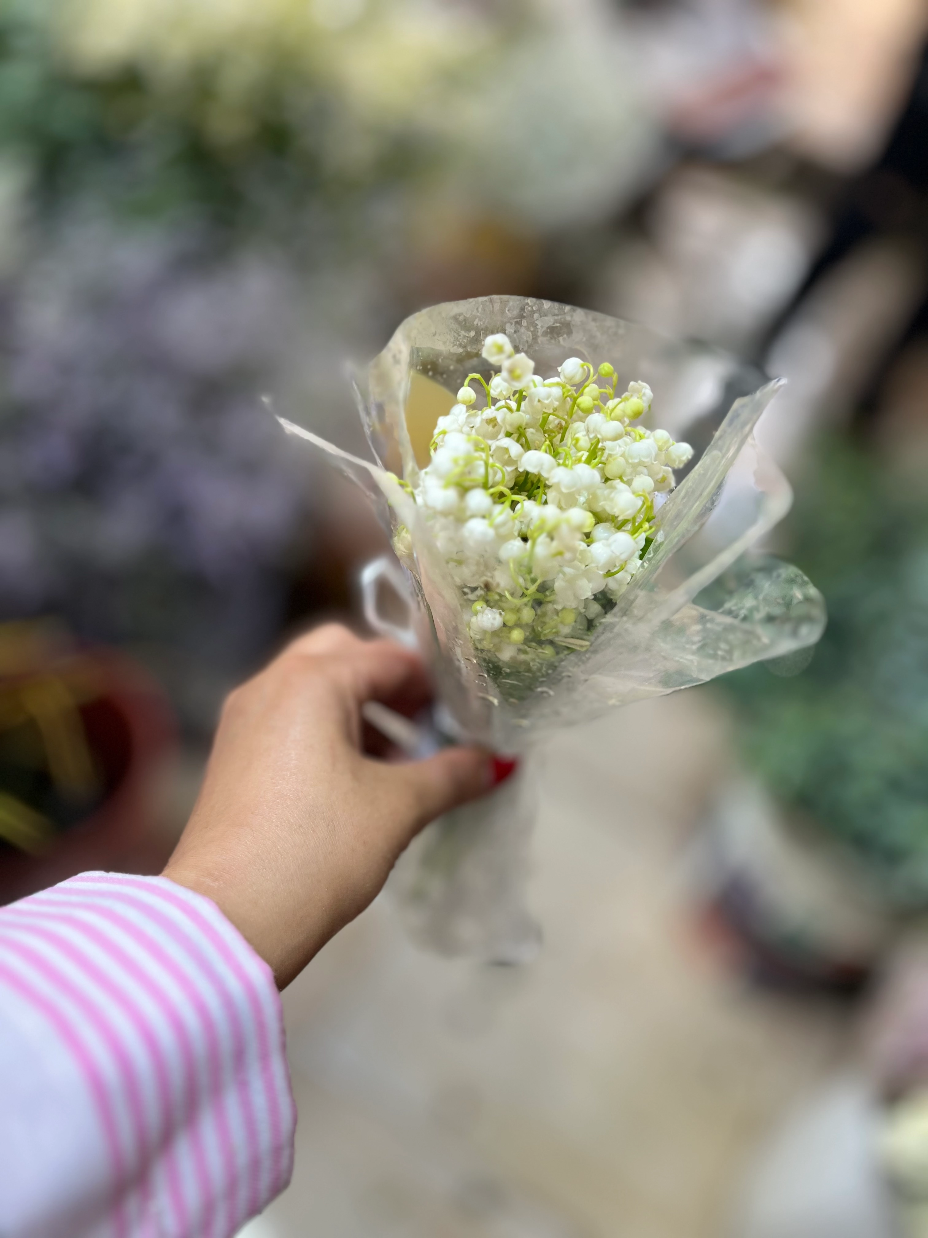 دسته گل موگه