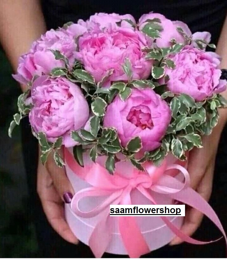 گل صد تومنی صورتی با باکس صورتی