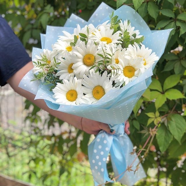 دسته گل مارگاریت سفید با کاغذآرایی آبی خالخالی و روبان آبی در فضای باز - سام فلاور