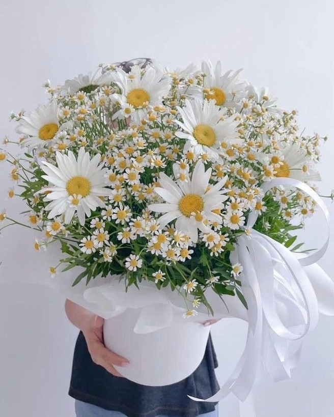 باکس گل دایرهای سفید پر از گلهای مارگاریت و بابونه با تزیین روبانهای سفید بلند در دستان مدل - سام فلاور.